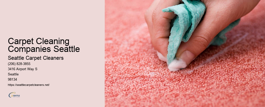 Carpet Cleaning North Seattle