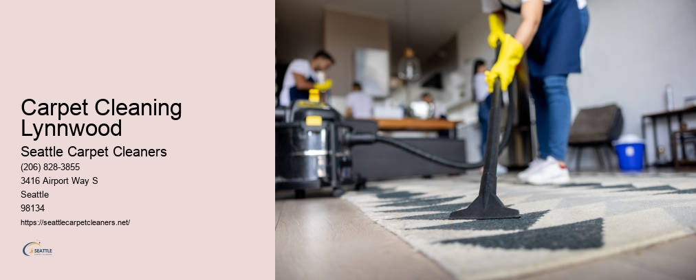 Seattle Odor Removal