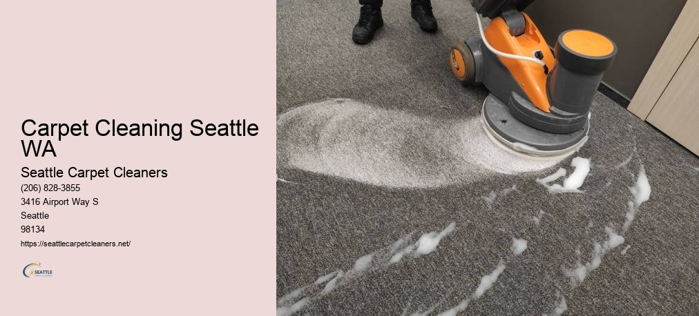 Seattle Rug Cleaning
