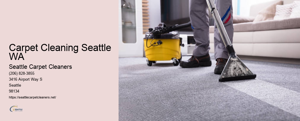 Seattle Rug Cleaning