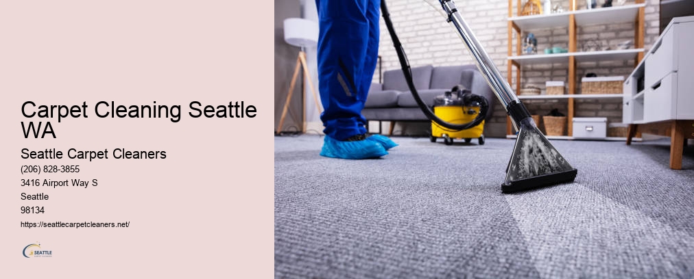 Amazing Carpet Cleaning Seattle