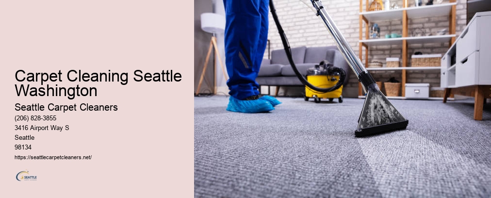 Seattle Odor Removal