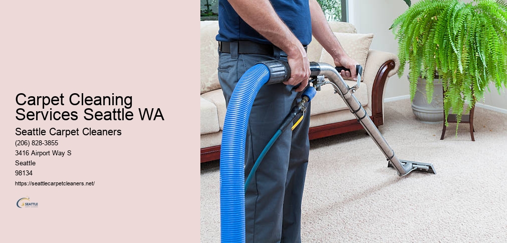 Rug Cleaning Seattle