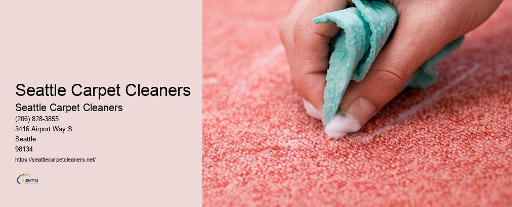 Carpet Cleaning Burien WA
