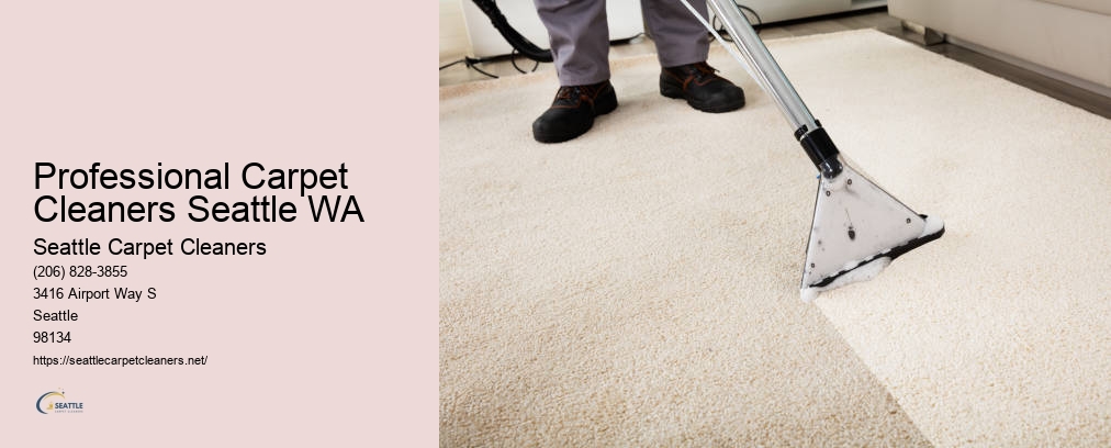 Shoreline Carpet Cleaning