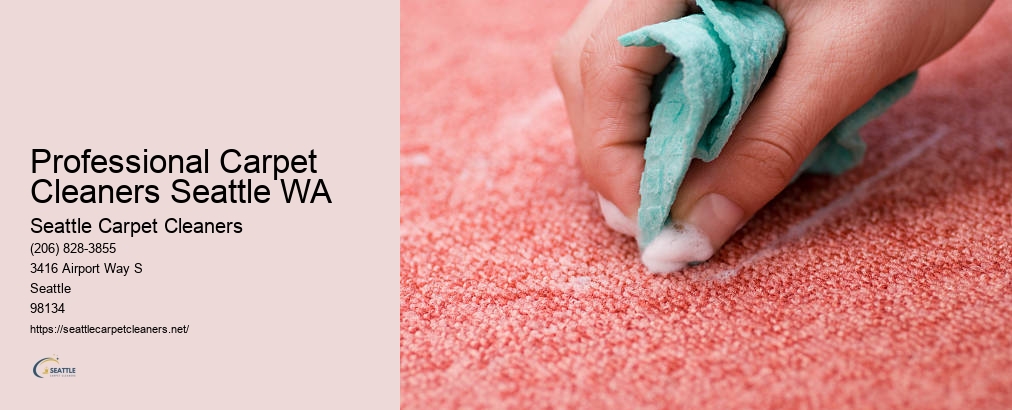 Seattle Carpet Cleaners