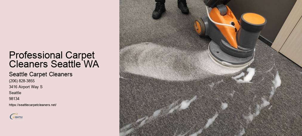 Carpet Cleaning In Lynnwood WA