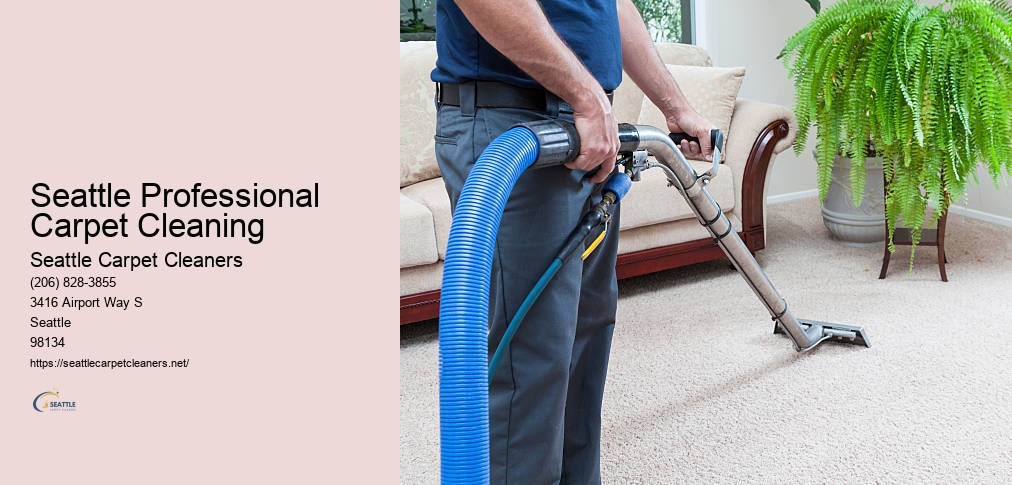 Rug Cleaning Seattle