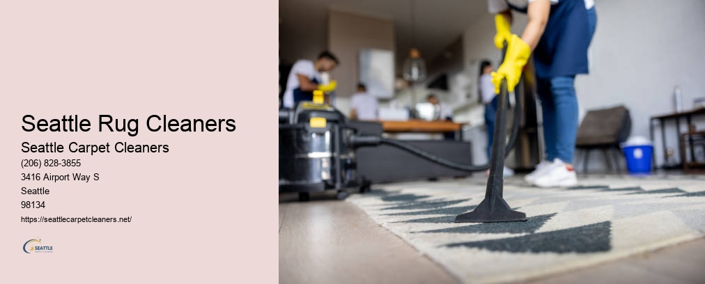 Professional Carpet Cleaners Seattle WA