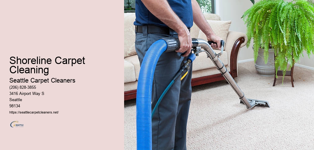 Carpet Cleaning Seattle