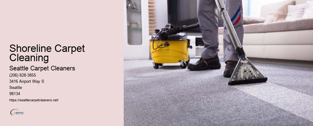 Best Carpet Cleaners In Seattle
